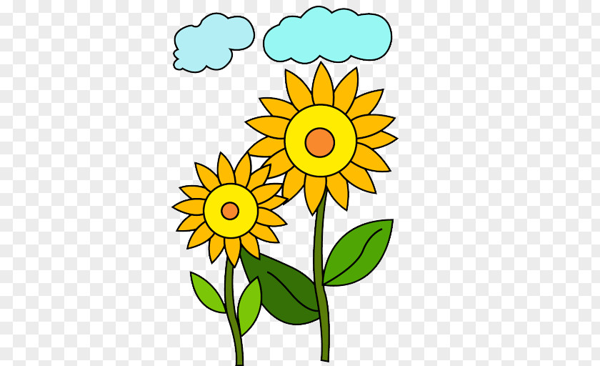 Flower Common Sunflower Drawing Color For Kids Coloring Book PNG