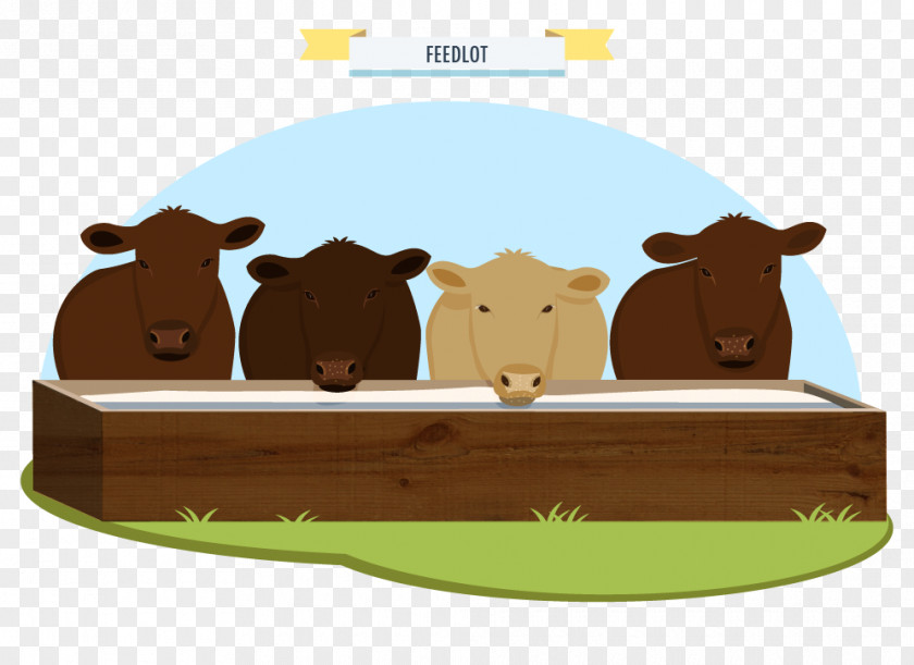 Food Infographic Cattle Cartoon PNG