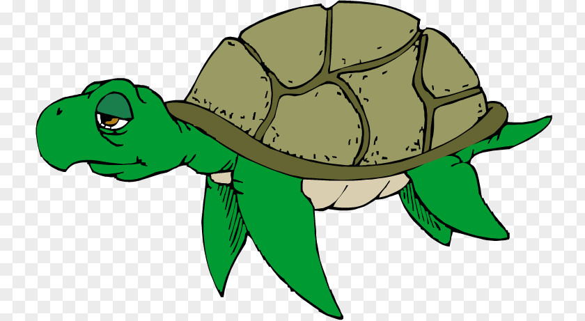 Sea Turtle Cliparts Green Free Content Clip Art PNG
