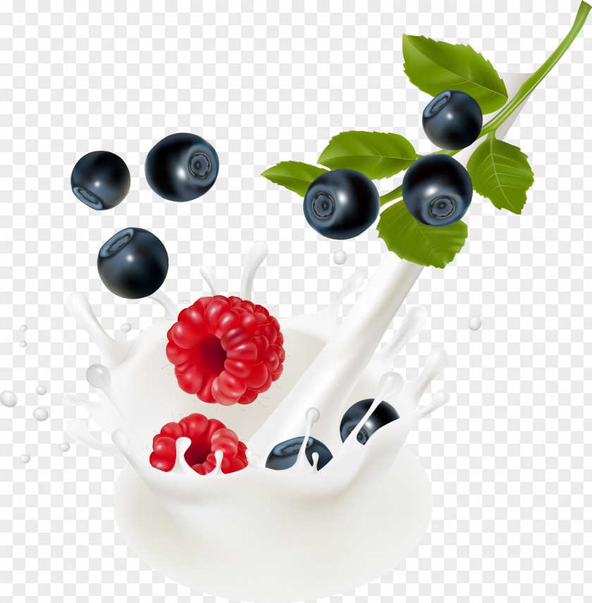 Yogurt Milk Blueberry Bilberry PNG