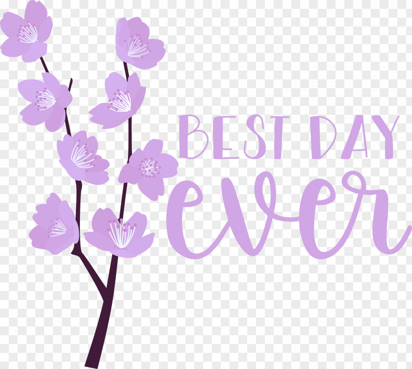 Best Day Ever Wedding PNG