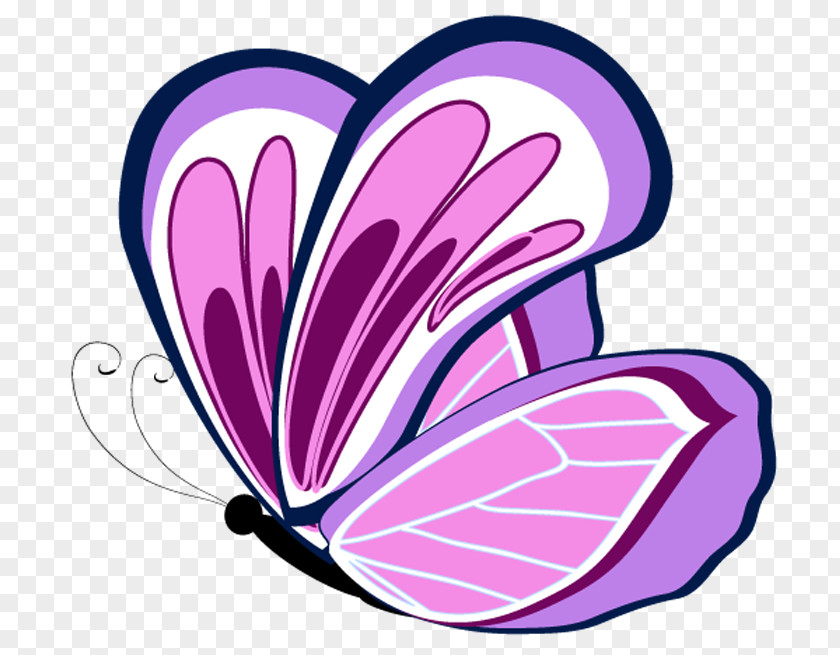 Butterfly Color Violet Pink Clip Art PNG