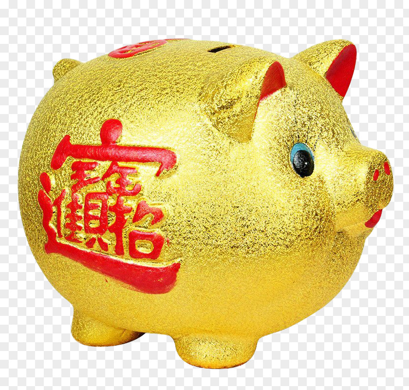 Piggy Bank Ornaments Domestic Pig PNG
