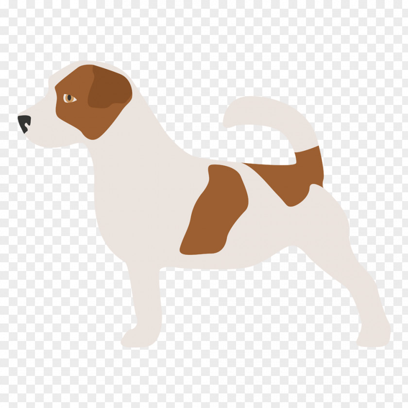 Puppy Dog Breed Jack Russell Terrier Companion Australian Cattle PNG