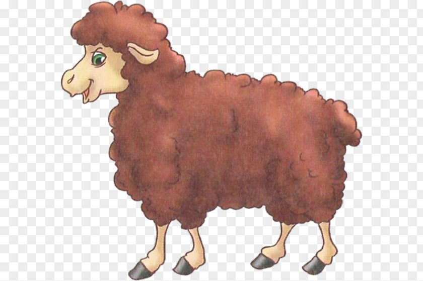 Sheep Cartoon Image Drawing PNG