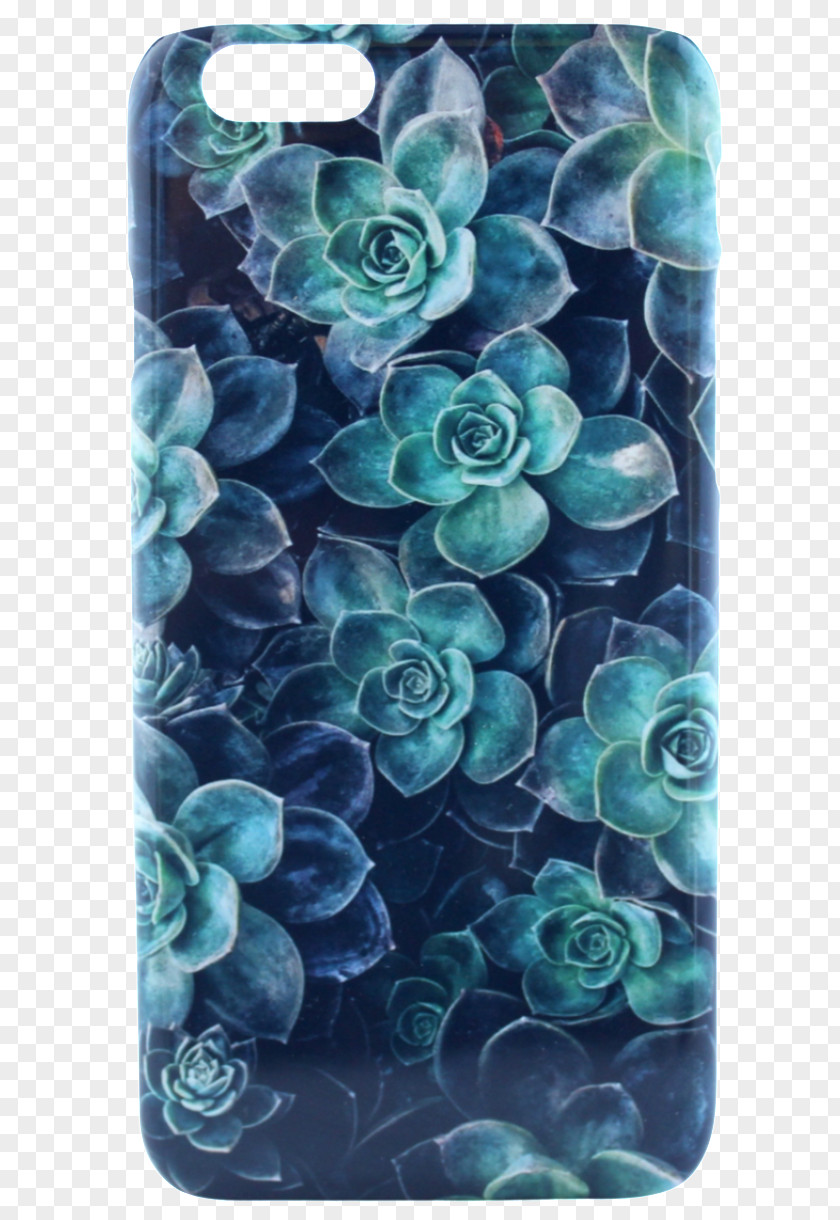 Suculent Succulent Plant Desktop Wallpaper Echeveria Mobile Phones PNG