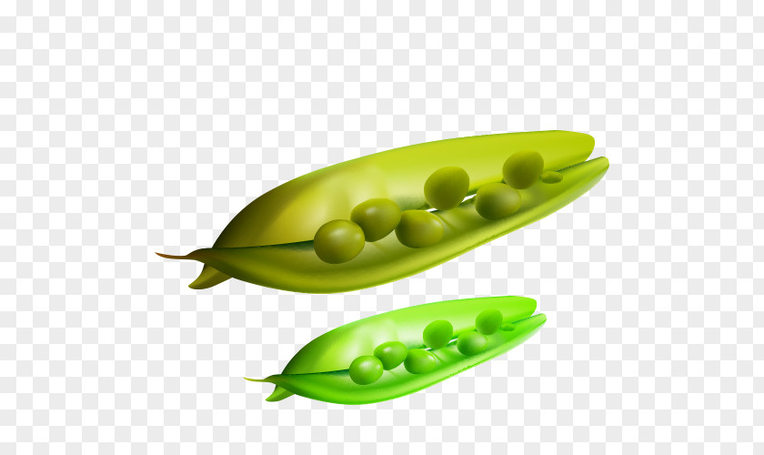 Cartoon Peas Snow Pea Field Clip Art PNG