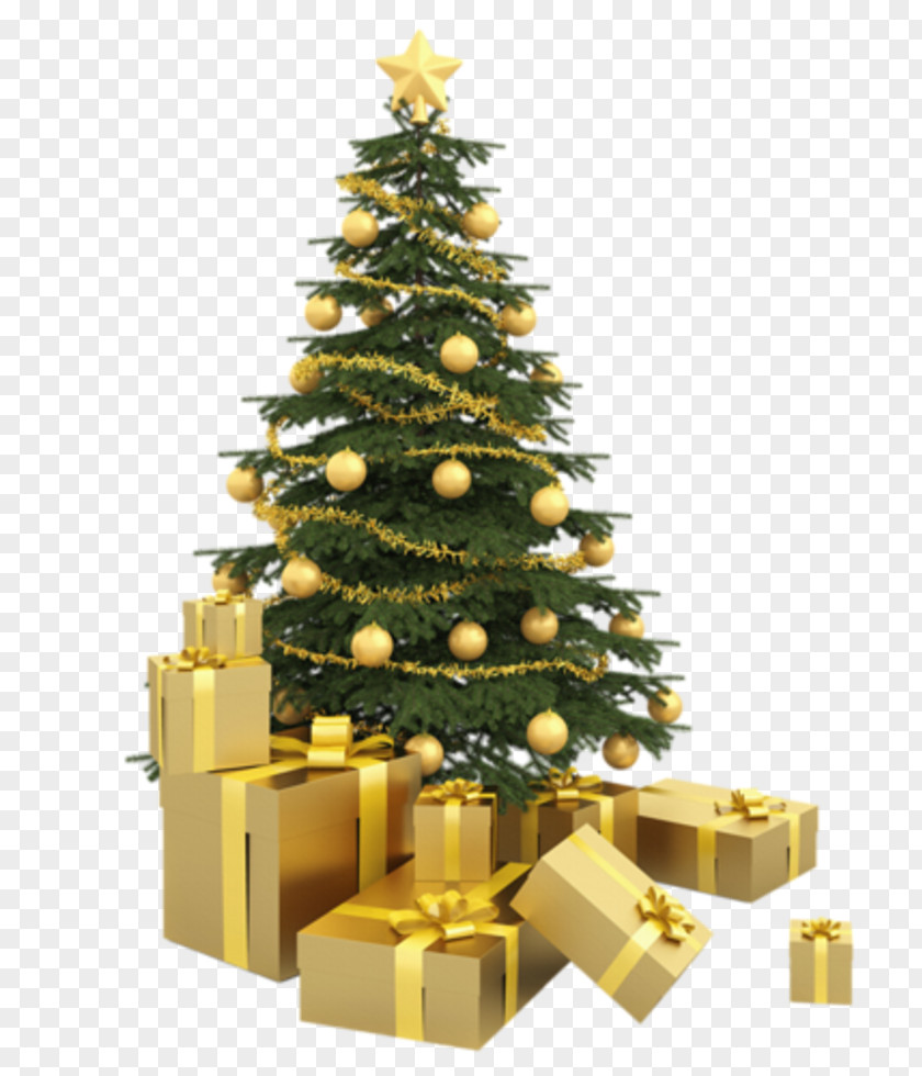 Christmas Tree Ornament Stock Photography PNG