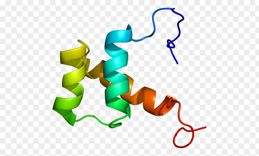 DLX5 DLX2 Homeobox DLX Gene Family Protein PNG