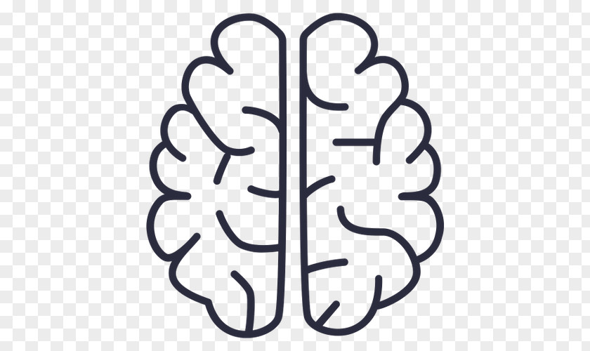 Line Art Leaf Cartoon Brain PNG