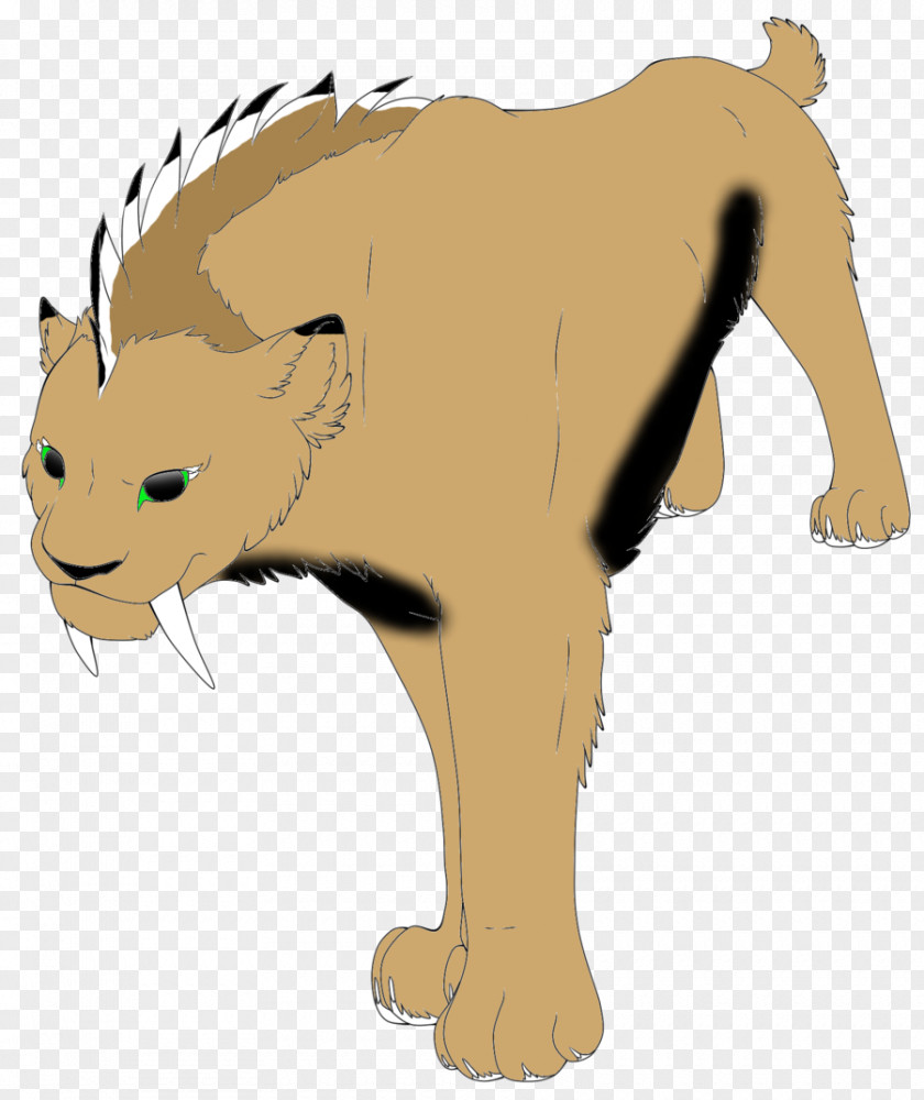 Loki Cat Whiskers Mammal Animal Carnivora PNG