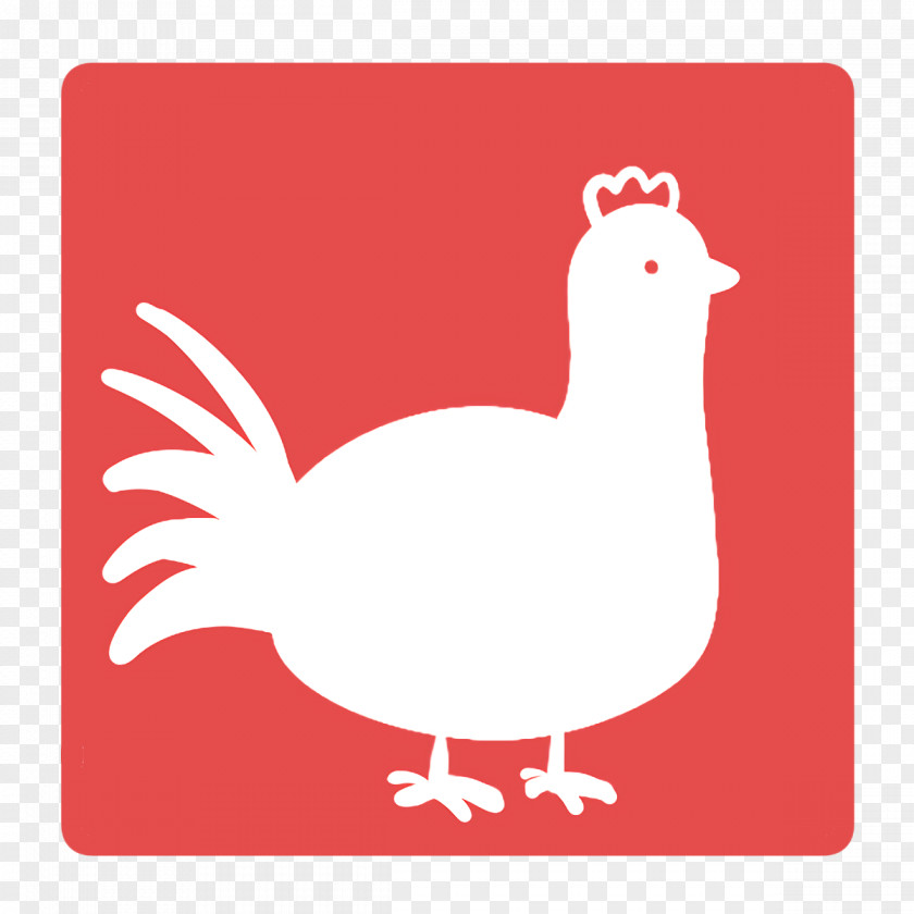 Rooster Ducks Chicken Water Bird Birds PNG