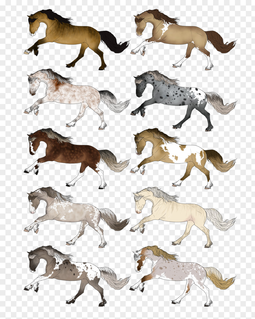 Star Stable Canidae Mustang Dog Mammal Freikörperkultur PNG