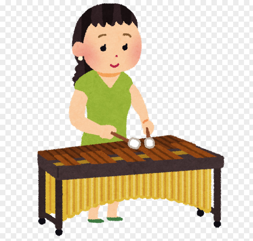Xylophone 木琴 Marimba Interpretació Musical Percussion PNG