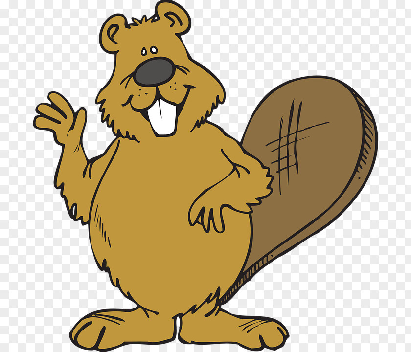 Beaver Drawing Clip Art PNG