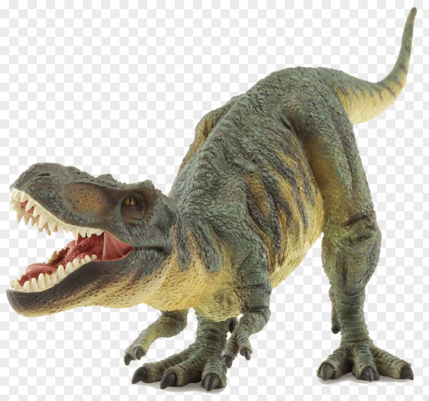 Dinosaur The Tyrannosaurus Rex Prehistoric Life PNG