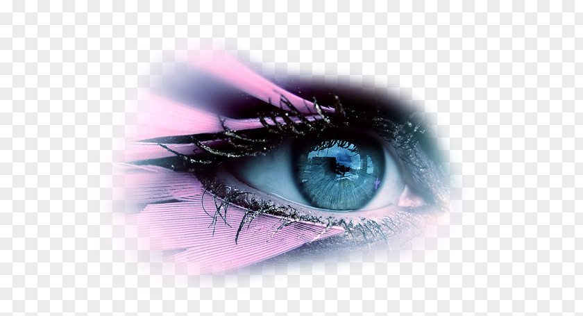 Eye YouTube Photography PNG