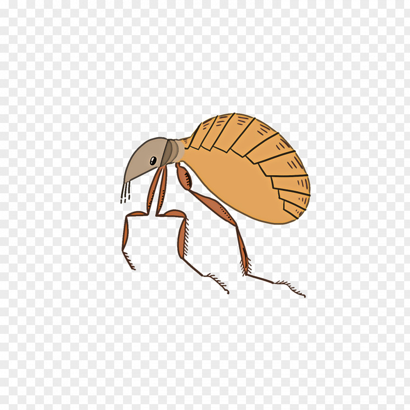 Insect Pest Weevil Membrane-winged Ant PNG