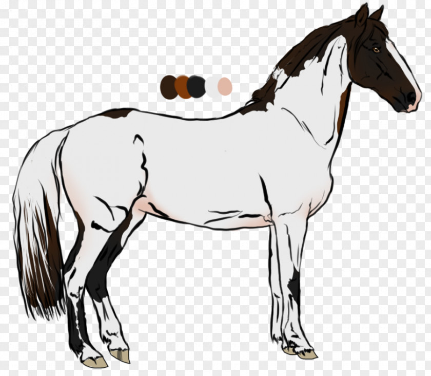 Mustang Mane Foal Stallion Pony Mare PNG