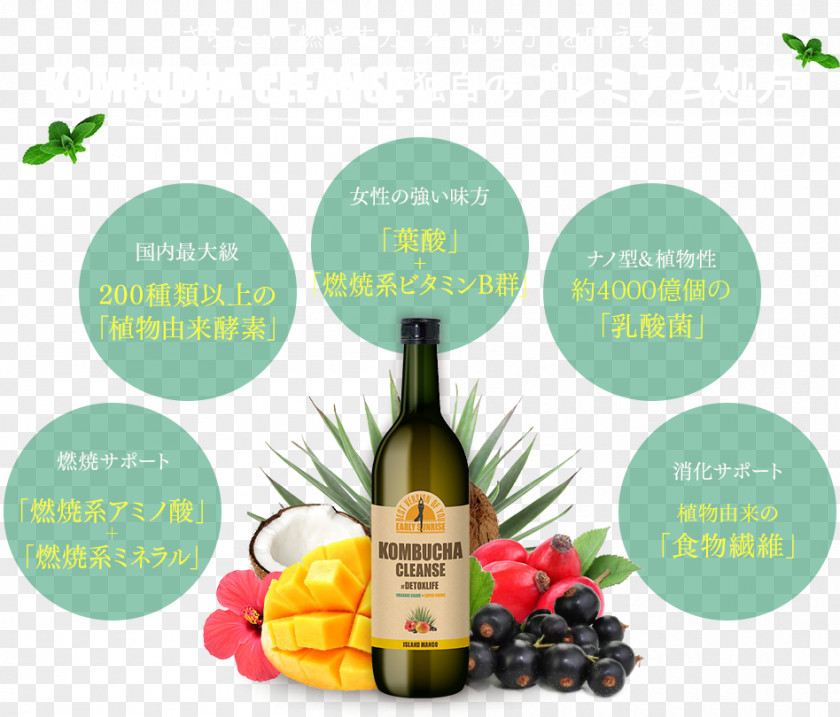 Prescribe Kombucha Liqueur Smoothie Drink Dieting PNG
