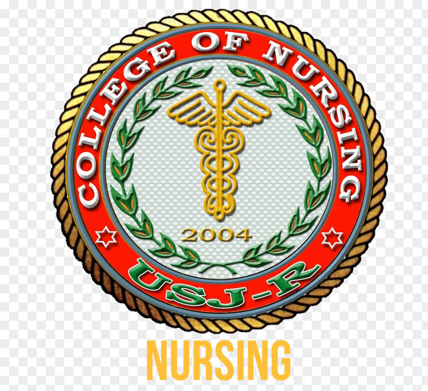 School University Of San Jose–Recoletos Mount Royal Nursing Care PNG