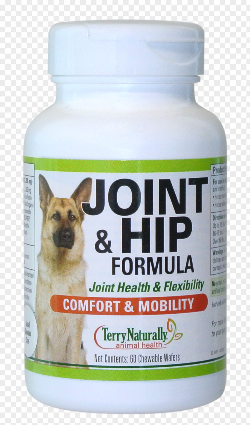 Thyroid Cartilage Dietary Supplement Dog Terry Naturally Health Food Store Joint Snout PNG