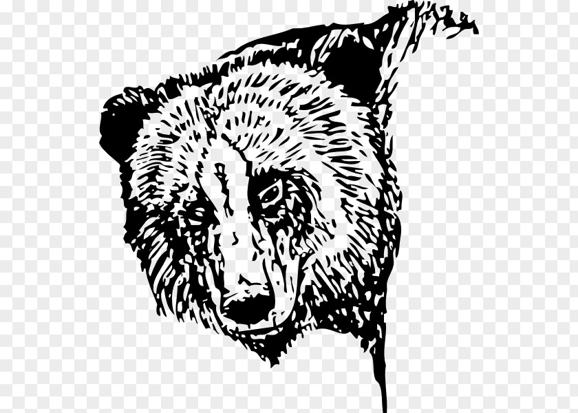 Bear American Black Polar Giant Panda Clip Art PNG