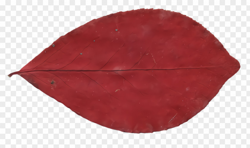 Leaf Red PNG
