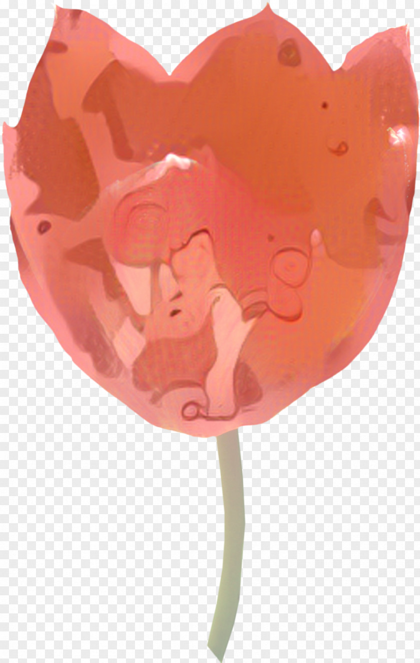 Plant Lollipop Valentines Day Heart PNG