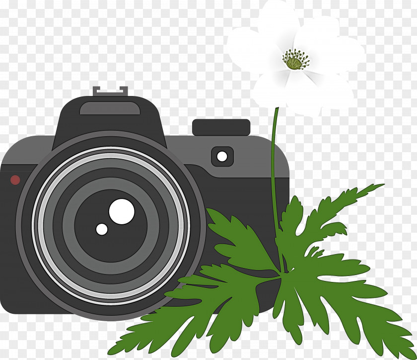 Camera Flower PNG