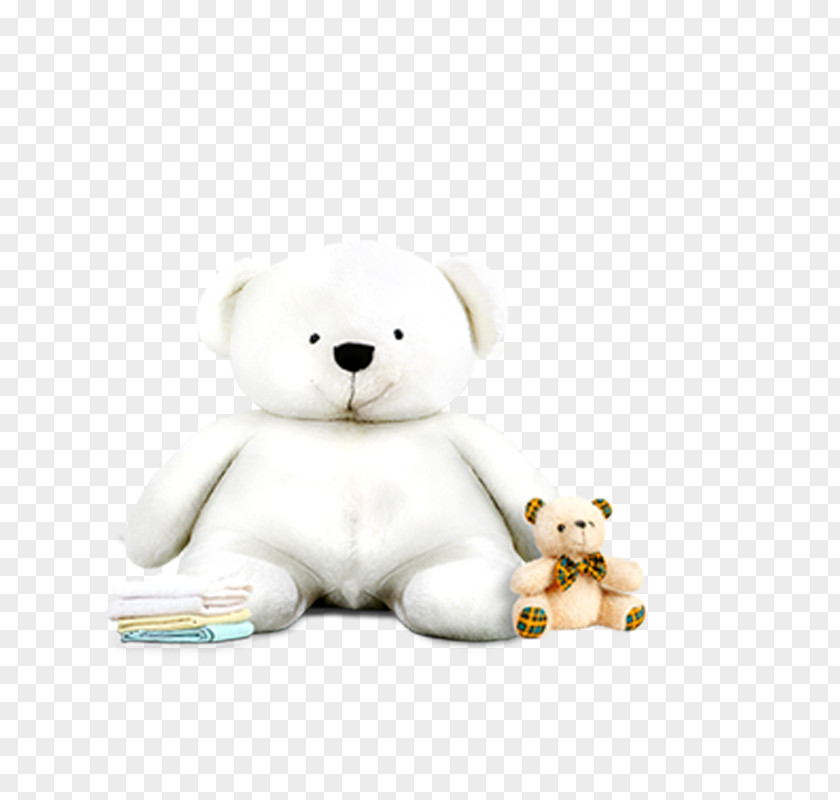 Polar Bear Happy Birthday To You Wish Greeting Card PNG