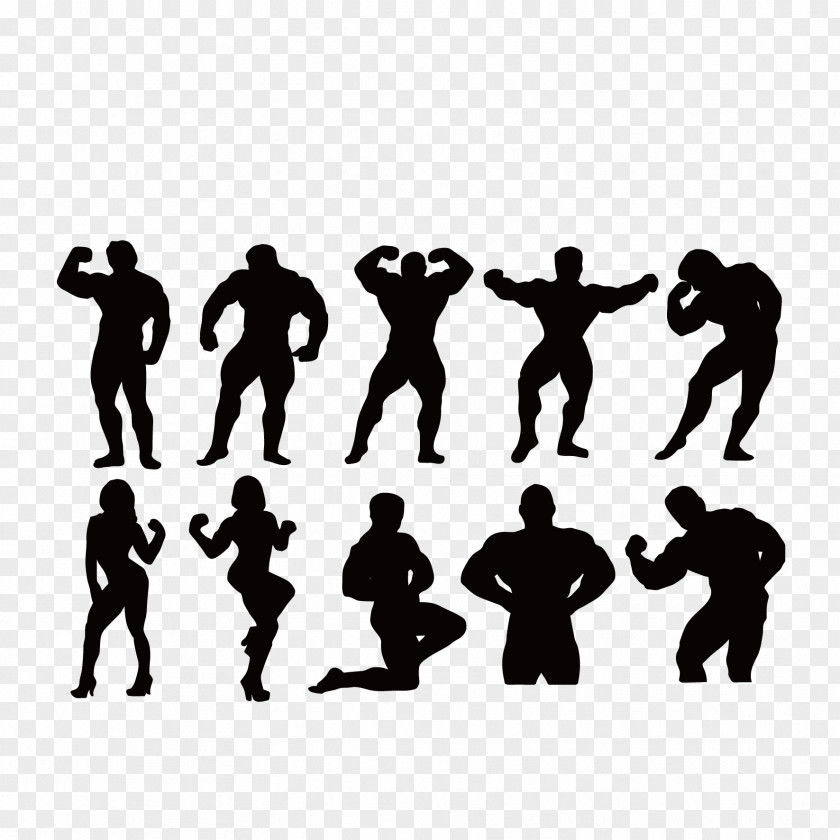 Vector Characters Silhouette Bodybuilding Fitness Centre Muscle PNG