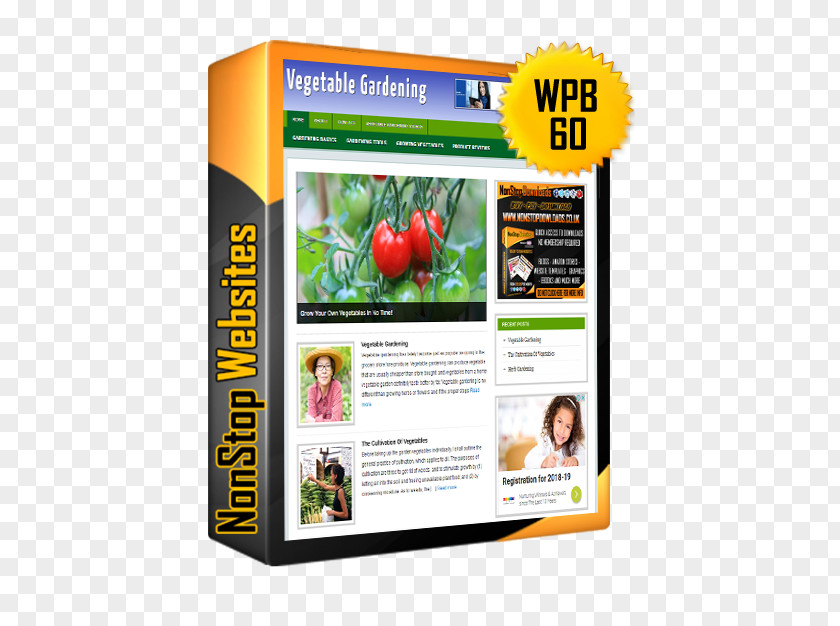 Vegetables Shop Turnkey Business Drop Shipping Marketing Sales PNG