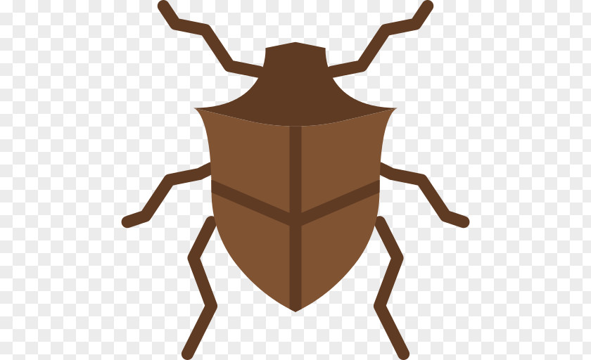 Bug Silhouette Beetle PNG