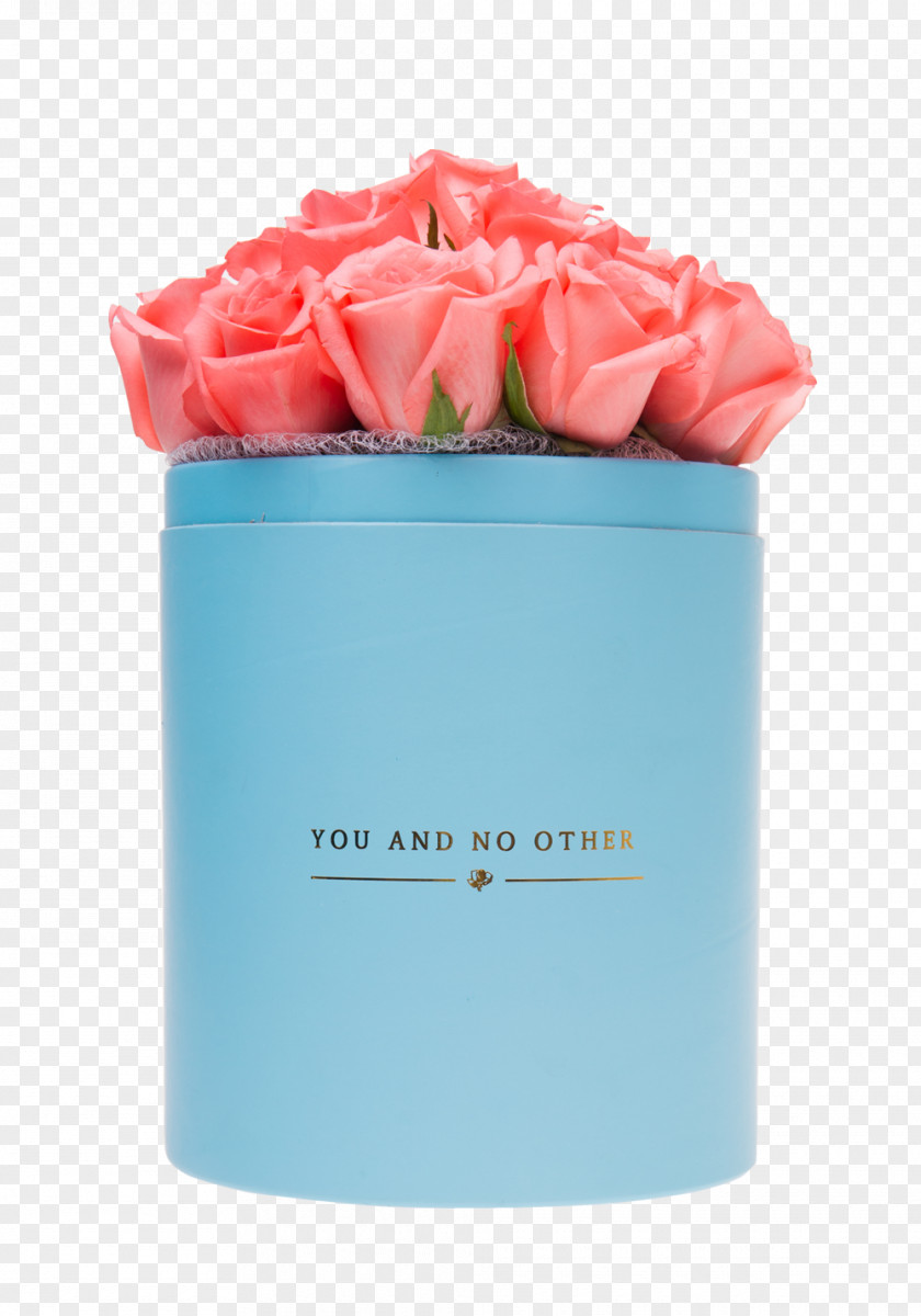 Coral Collection Petal YouTube Flower Floristry Rose PNG