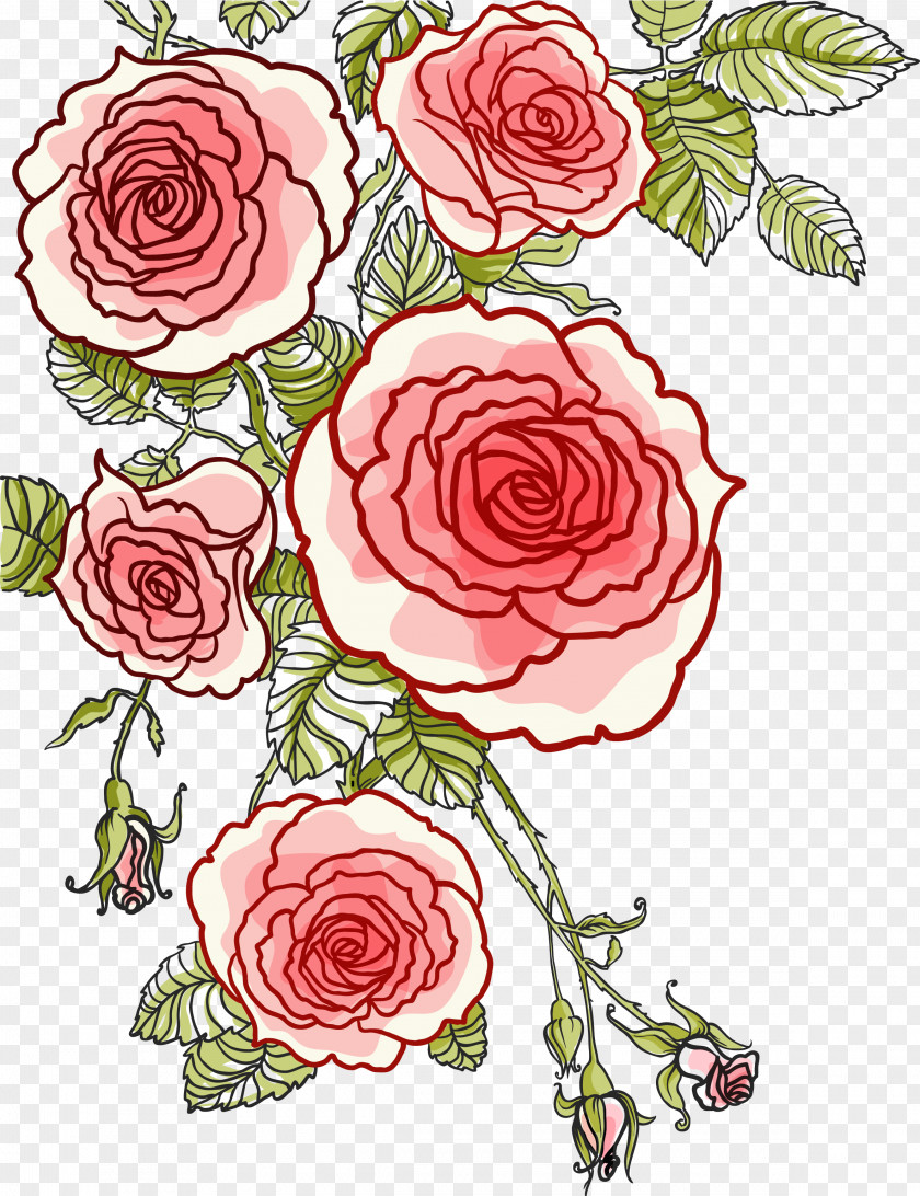 Hand Painted Roses Vector Rose Drawing PNG