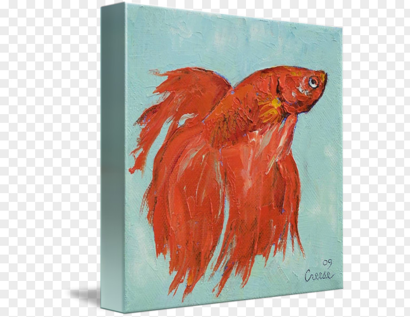 Siamese Fighting Fish Painting Art Tropical PNG