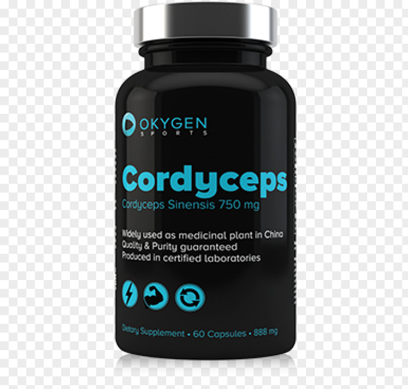 Cordyceps Phenylalanine Branched-chain Amino Acid Essential Dietary Supplement PNG