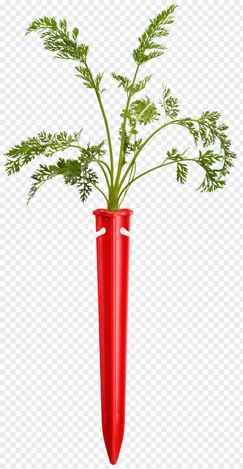 Flower Leaf Vegetable Plant Stem Flowerpot Tree PNG