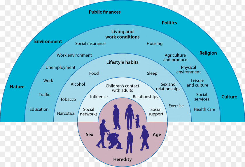 Health Social Determinants Of Public Stress Care PNG