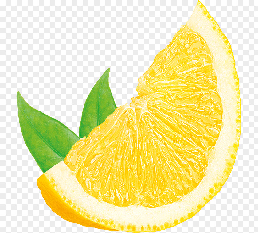 Lemon Juice Citron Orange Lime Tangelo PNG