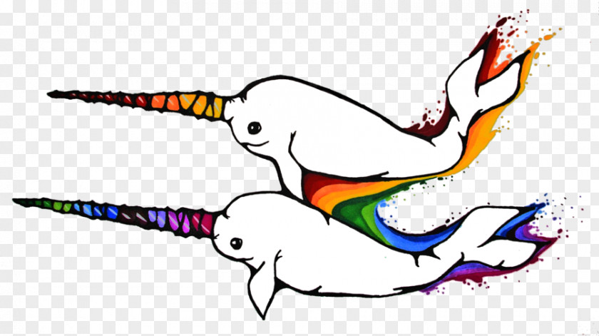 Narwal Rainbow Loom Narwhal Shops Clip Art PNG