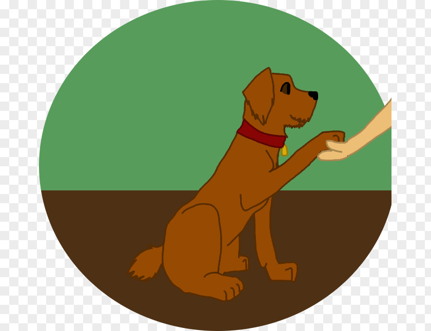 Puppy Dog Breed Sporting Group Retriever PNG