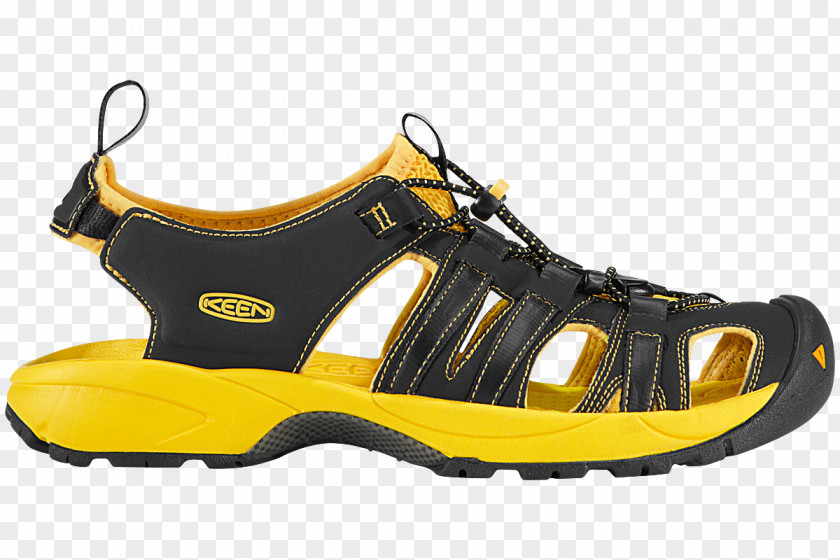 Sandals Image Sandal Slipper Shoe Flip-flops Boot PNG