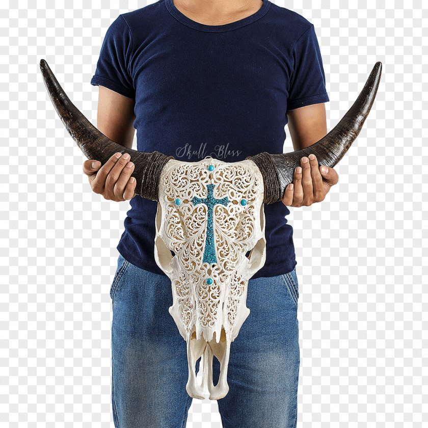 Bull Skull XL Horns Cattle Neck PNG
