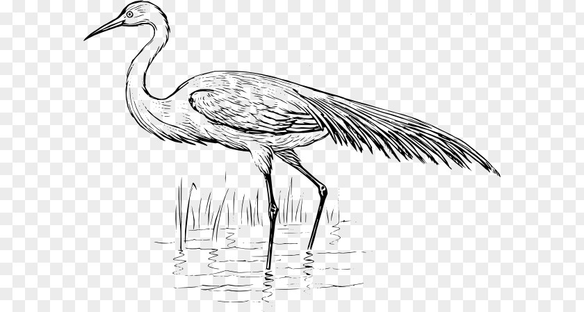 Crane Bird Blue Heron Egret PNG
