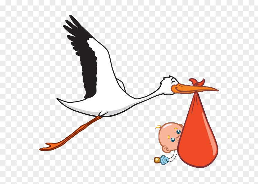 Crane Bird Clip Art Infant Vector Graphics PNG