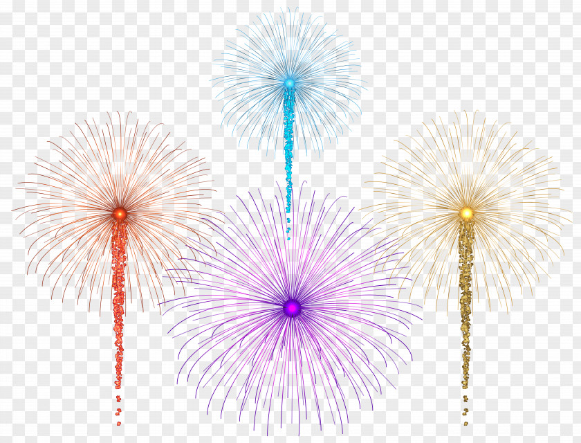 Fireworks For Dark Images Clip Art Petal Symmetry PNG