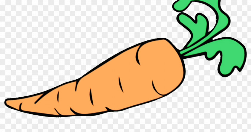 Food Root Vegetable Carrot Clip Art PNG