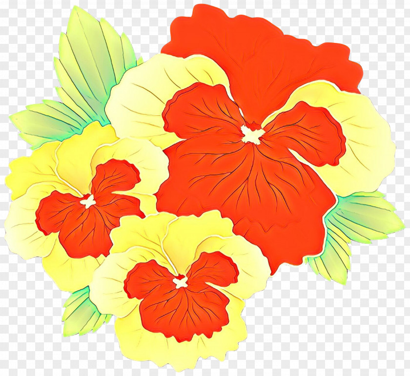 Hawaiian Hibiscus Flower Plant Petal PNG